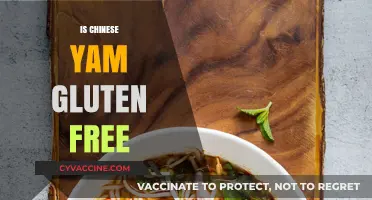 Is Chinese Yam Gluten-Free? A Comprehensive Guide for Dieters