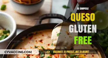 Is Chipotle's Queso Gluten-Free? A Complete Ingredient Breakdown