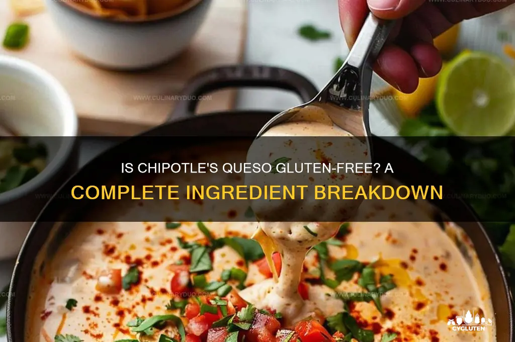 is chipitle queso gluten free