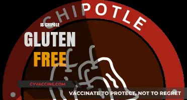 Is Chipotle Gluten-Free? A Complete Guide to Safe Menu Options
