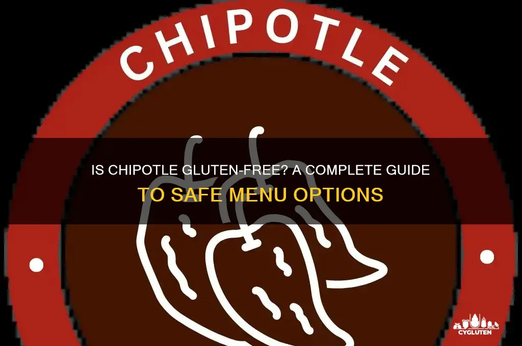 is chipole gluten free