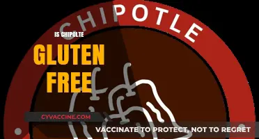 Is Chipotle Gluten-Free? A Comprehensive Guide to Safe Menu Options