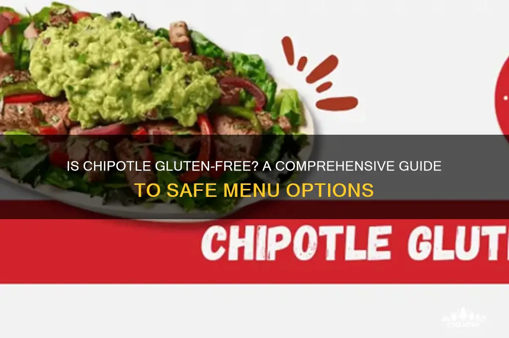 is chipolte gluten free