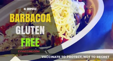 Is Chipotle Barbacoa Gluten-Free? A Complete Guide for Diners