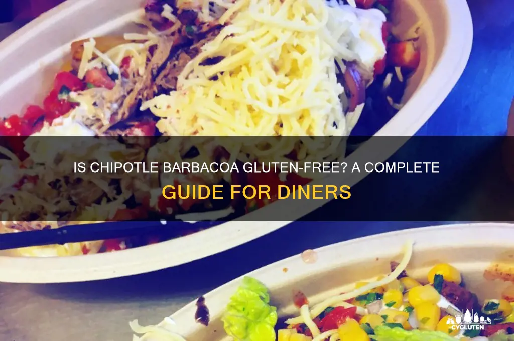 is chipotle barbacoa gluten free