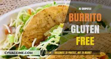 Is Chipotle Burrito Gluten-Free? A Complete Guide for Celiac Diners