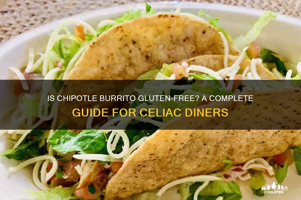 is chipotle burrito gluten free
