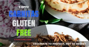 Is Chipotle Carnitas Gluten-Free? A Complete Guide for Diners