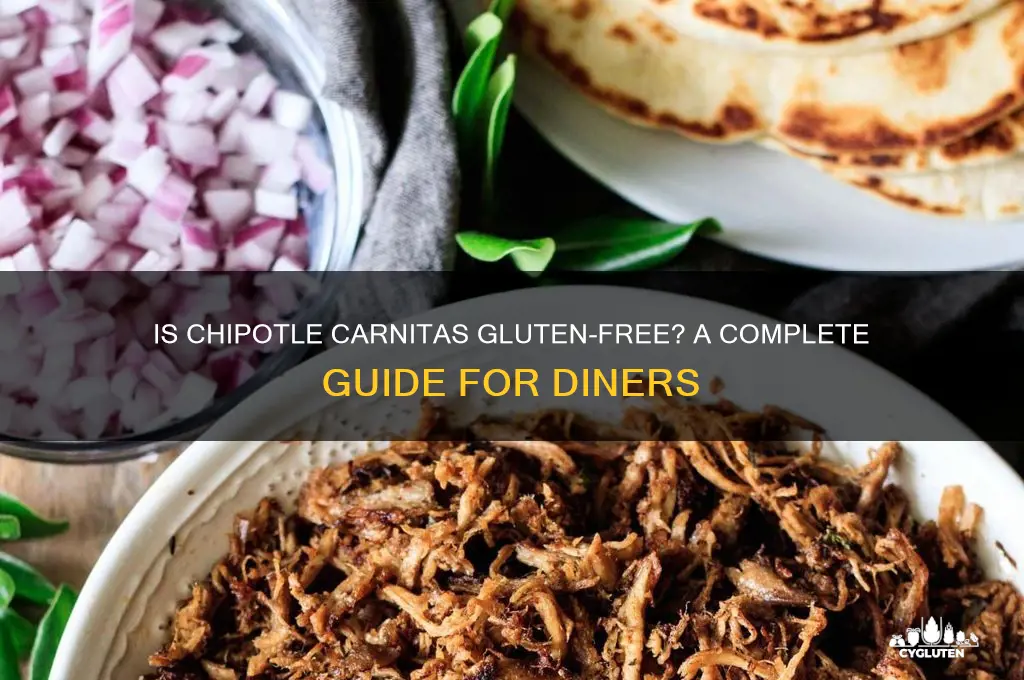 is chipotle carnitas gluten free