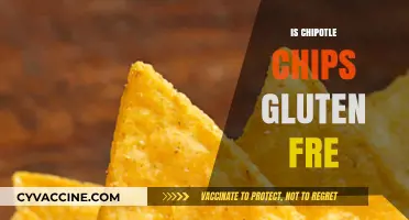 Are Chipotle Chips Gluten-Free? A Complete Guide for Celiac Diners