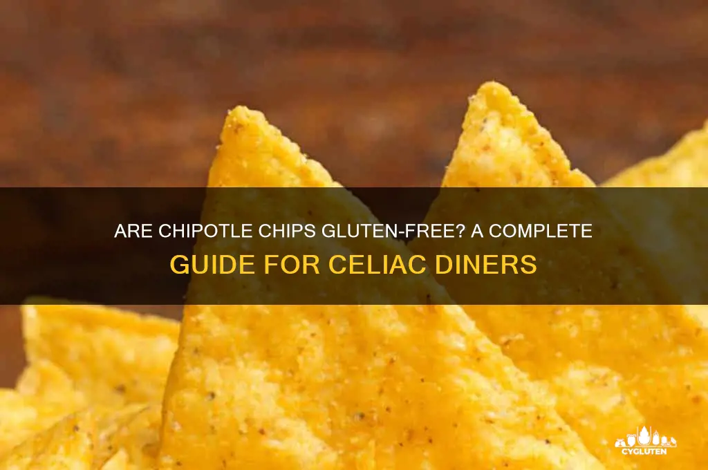 is chipotle chips gluten fre