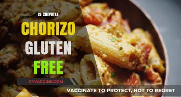 Is Chipotle Chorizo Gluten-Free? A Complete Guide for Celiac Diners