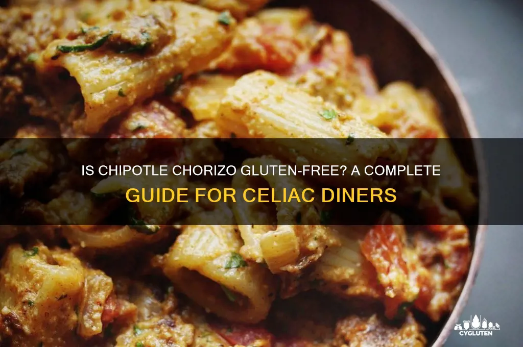 is chipotle chorizo gluten free