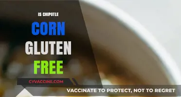Is Chipotle Corn Gluten-Free? A Clear Answer for Celiac Diners