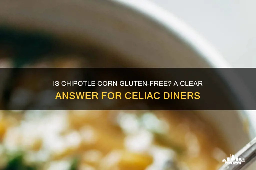 is chipotle corn gluten free
