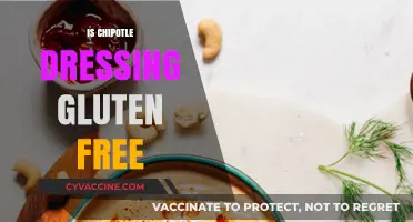 Is Chipotle Dressing Gluten-Free? A Comprehensive Guide for Celiacs