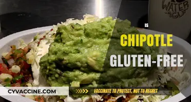 Is Chipotle Gluten-Free? A Comprehensive Guide to Safe Dining