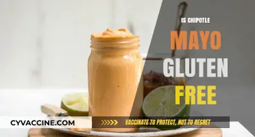 Is Chipotle Mayo Gluten-Free? A Complete Guide for Dietary Needs