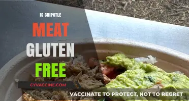 Is Chipotle Meat Gluten-Free? A Complete Guide for Diners