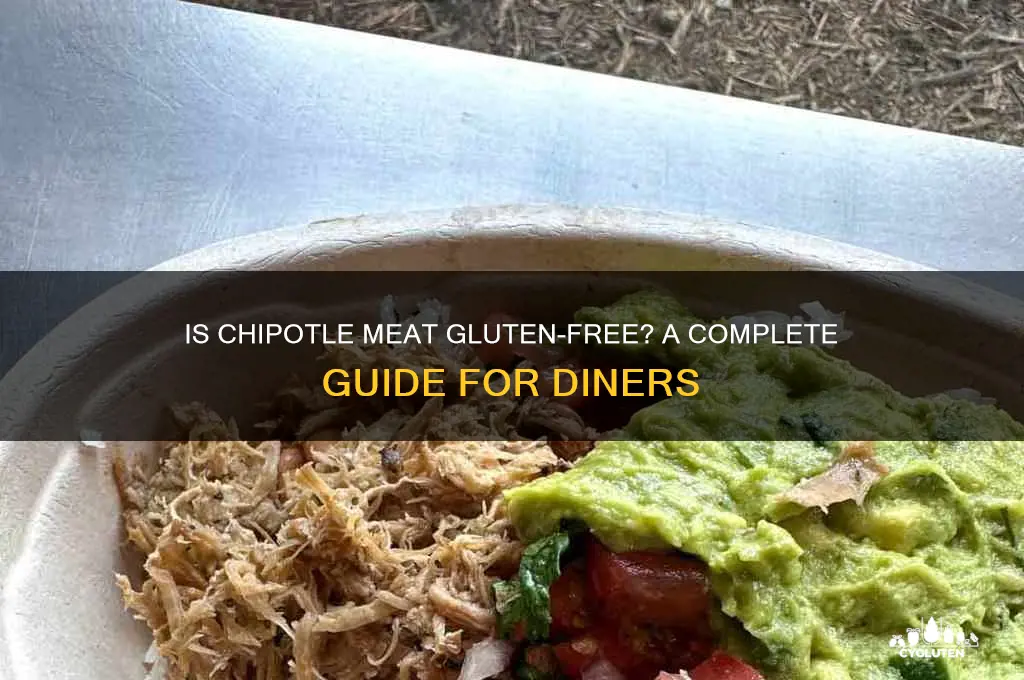 is chipotle meat gluten free