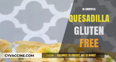 Chipotle Quesadilla Gluten-Free? Ingredients, Options, and Safe Eating Tips
