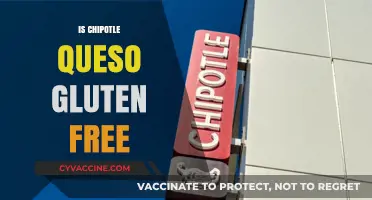 Is Chipotle Queso Gluten-Free? A Complete Guide for Celiac Diners