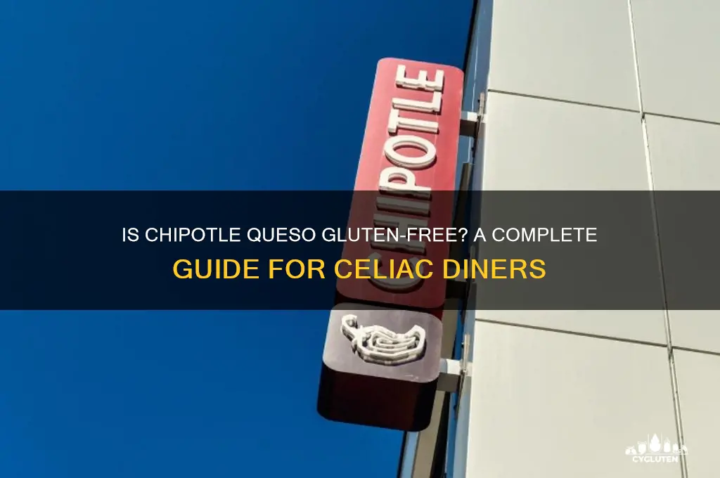 is chipotle queso gluten free