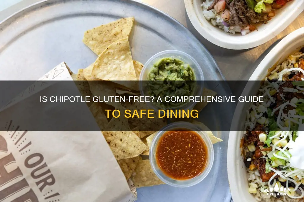 is chipotle restaurant gluten free