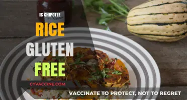 Is Chipotle Rice Gluten-Free? A Complete Guide for Celiac Diners