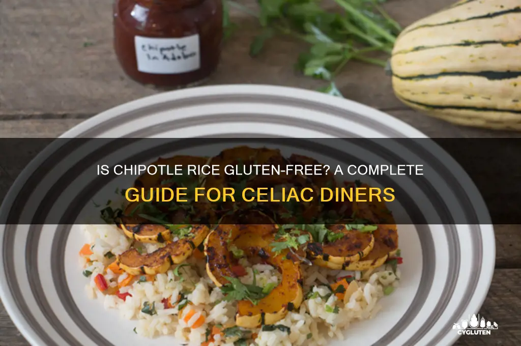 is chipotle rice gluten free