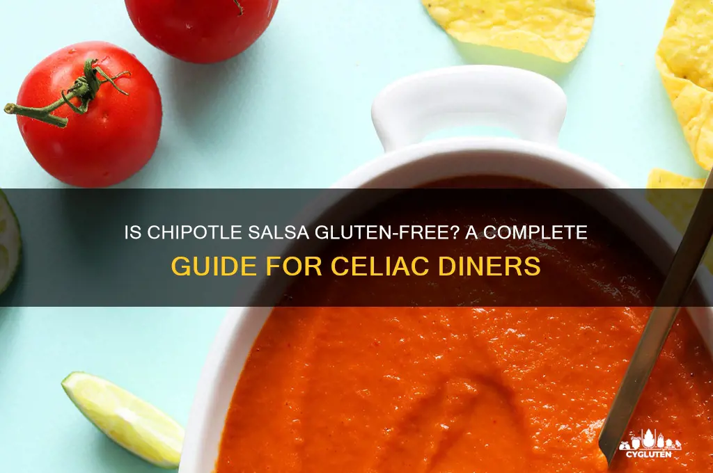 is chipotle salsa gluten free