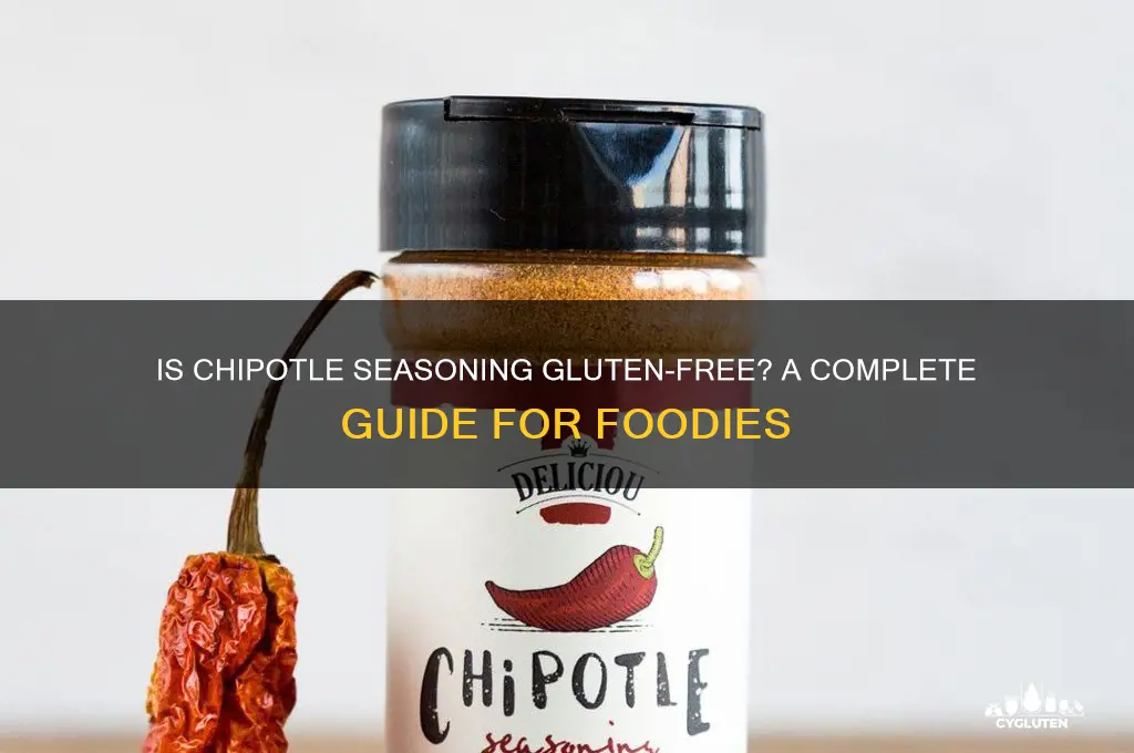 is chipotle seasoning gluten free