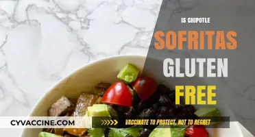 Is Chipotle Sofritas Gluten-Free? A Complete Guide for Celiac Diners