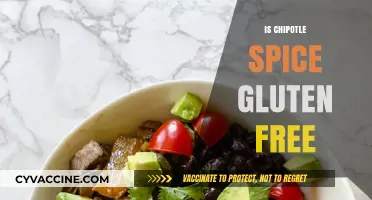 Is Chipotle Spice Gluten-Free? A Comprehensive Guide for Celiac Diners