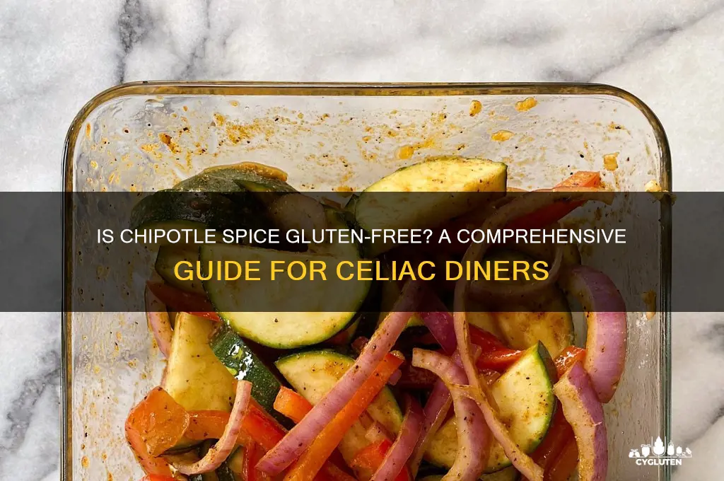 is chipotle spice gluten free