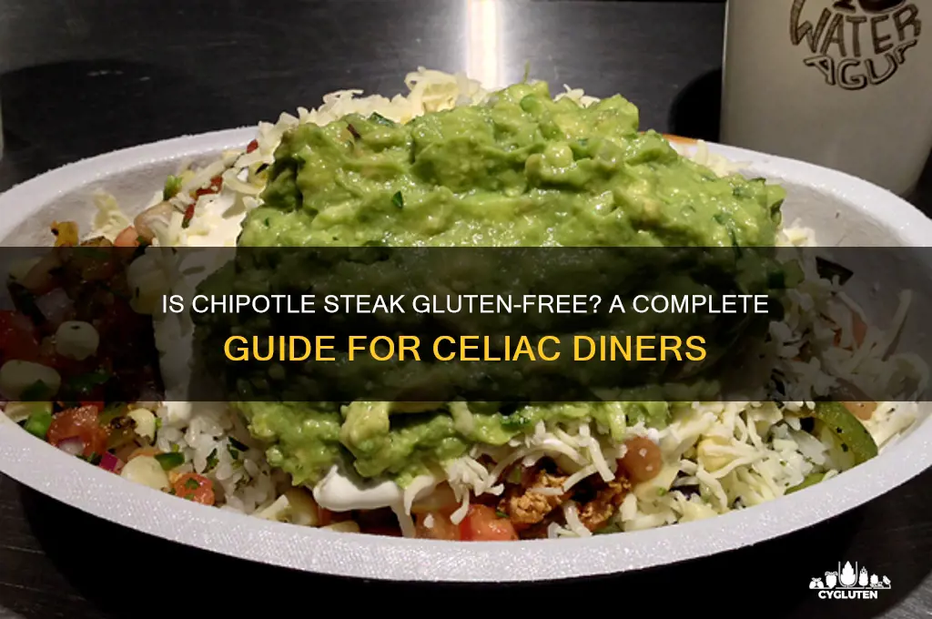 is chipotle steak gluten free