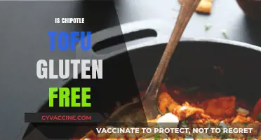 Is Chipotle Tofu Gluten-Free? A Complete Guide to Your Meal