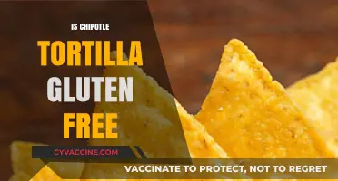 Is Chipotle's Tortilla Gluten-Free? A Complete Guide for Diners