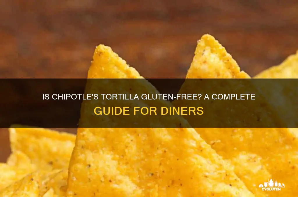 is chipotle tortilla gluten free