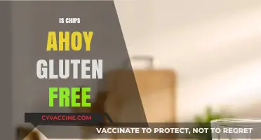 Are Chips Ahoy Gluten-Free? A Comprehensive Cookie Guide