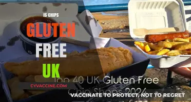 Are UK Chips Gluten-Free? A Comprehensive Guide for Coeliacs