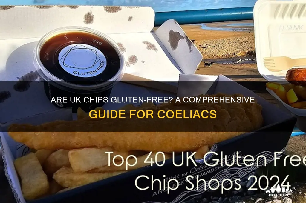 is chips gluten free uk
