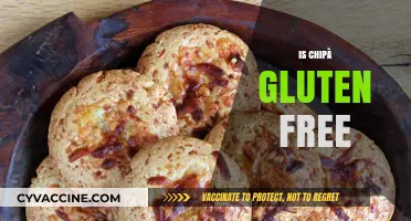Is Chipà Gluten Free? Unraveling the Mystery Behind This Dish