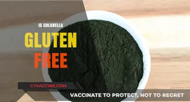 Is Chlorella Gluten-Free? Uncovering the Truth for a Healthy Diet