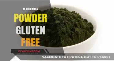 Is Chlorella Powder Gluten-Free? A Comprehensive Guide to Safe Consumption