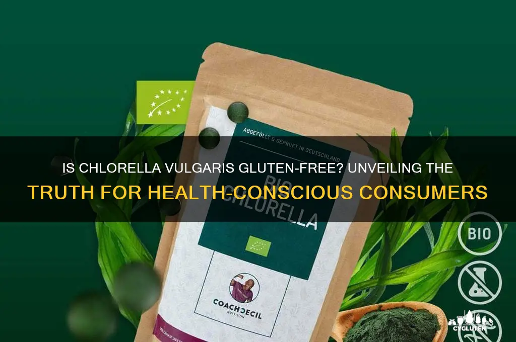 is chlorella vulgaris gluten free