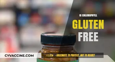 Is Chlorophyll Gluten-Free? Uncovering the Truth for Health-Conscious Eaters