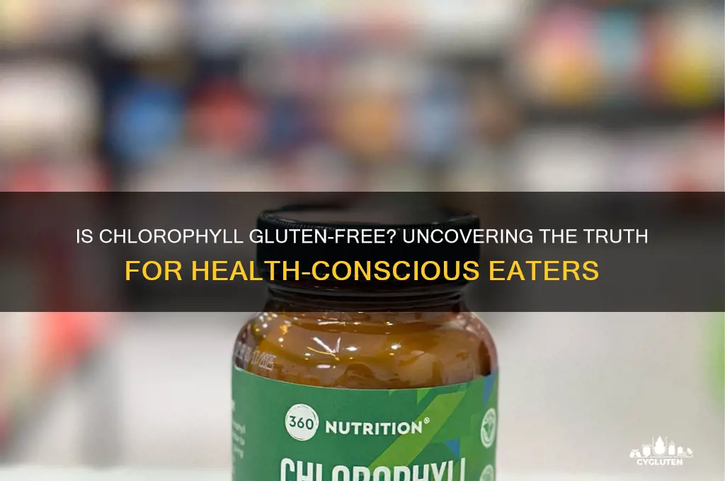 is chlorophyll gluten free