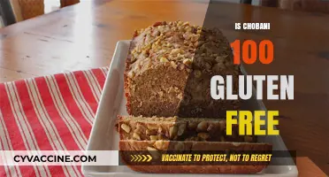 Is Chobani 100% Gluten-Free? A Complete Guide for Consumers