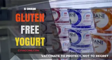 Is Chobani Gluten-Free Yogurt Safe for Celiac Diets?